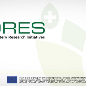 Mebattery project in FLORES – the European network of Flow Battery Research Initiatives